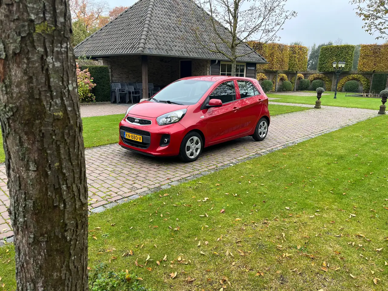 Kia Picanto