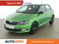 Skoda Fabia 1.0 MPI Ambition Grün - thumbnail 1