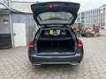 Mercedes-Benz C 200 CDI T BlueEfficiency Avantgarde*Tiptronic Grigio - thumbnail 14