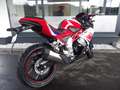 Otros TRMOTOR TR125- *NEU* GP-1 Rojo - thumbnail 10