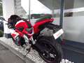 Autres TRMOTOR TR125- *NEU* GP-1 Rouge - thumbnail 3