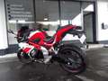 Altro TRMOTOR TR125- *NEU* GP-1 Rosso - thumbnail 12