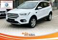 Ford Kuga 2.0 TDCI 4x4 Cool & Connect LED Temp CarPla Weiß - thumbnail 1