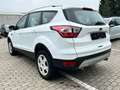 Ford Kuga 2.0 TDCI 4x4 Cool & Connect LED Temp CarPla Weiß - thumbnail 4