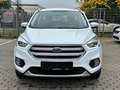 Ford Kuga 2.0 TDCI 4x4 Cool & Connect LED Temp CarPla Weiß - thumbnail 3