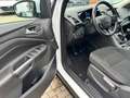 Ford Kuga 2.0 TDCI 4x4 Cool & Connect LED Temp CarPla Weiß - thumbnail 6