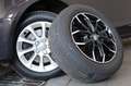 Audi A3 Sportback Attraction,Navi,Xenon,APS Plus,+WR Braun - thumbnail 17
