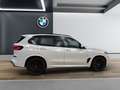 BMW X5 xDrive30d [M Sport, HUD, AHK, ACC, 22" LMR] Weiß - thumbnail 8