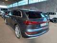 Audi e-tron 50 quattro advanced 344,-ohne Anzahlung Pano Lede Silber - thumbnail 6