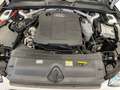 Audi A4 Avant 40 TDI quattro S line *AHK*LED*KAMERA*NAVI* Bianco - thumbnail 9