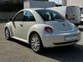 Volkswagen New Beetle New Beetle 1.9 tdi 105cv Bianco - thumbnail 7