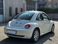 Volkswagen New Beetle New Beetle 1.9 tdi 105cv Bianco - thumbnail 5