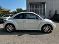 Volkswagen New Beetle New Beetle 1.9 tdi 105cv Blanco - thumbnail 17