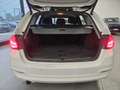 BMW 316 Serie 3 F31 2015 Touring 316d Touring Sport auto Blanc - thumbnail 10