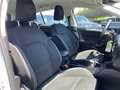 Ford Focus 1.5 EcoBlue 95 Trend Business - thumbnail 10