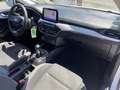 Ford Focus 1.5 EcoBlue 95 Trend Business - thumbnail 6