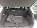 Ford Puma 1.0 EcoBoost ST-Line X, GJR, Panorama, Winter-P. Weiß - thumbnail 17
