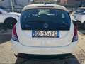 Lancia Ypsilon Ypsilon 1.0 FireFly 5 porte S&S Hybrid Ecochic Si Blanc - thumbnail 10