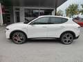 Alfa Romeo Tonale Ibrida 1,5 MHEV Veloce Weiß - thumbnail 2