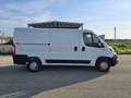 Fiat Ducato 33 2.3 MJT 120CV PM-TN Furgone Wit - thumbnail 4
