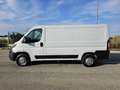 Fiat Ducato 33 2.3 MJT 120CV PM-TN Furgone Wit - thumbnail 9