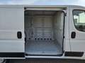 Fiat Ducato 33 2.3 MJT 120CV PM-TN Furgone Wit - thumbnail 13