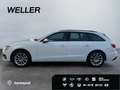 Audi A4 Avant 40 TDI S tronic *LED*WKRS*Navi*ACC*PDC+* Weiß - thumbnail 5