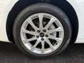 Audi A4 Avant 40 TDI S tronic *LED*WKRS*Navi*ACC*PDC+* Weiß - thumbnail 21