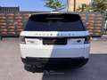 Land Rover Range Rover Sport 3.0 tdV6 HSE aut. PANO CAMERA PRIVACY SOSPENSIONI Bianco - thumbnail 6