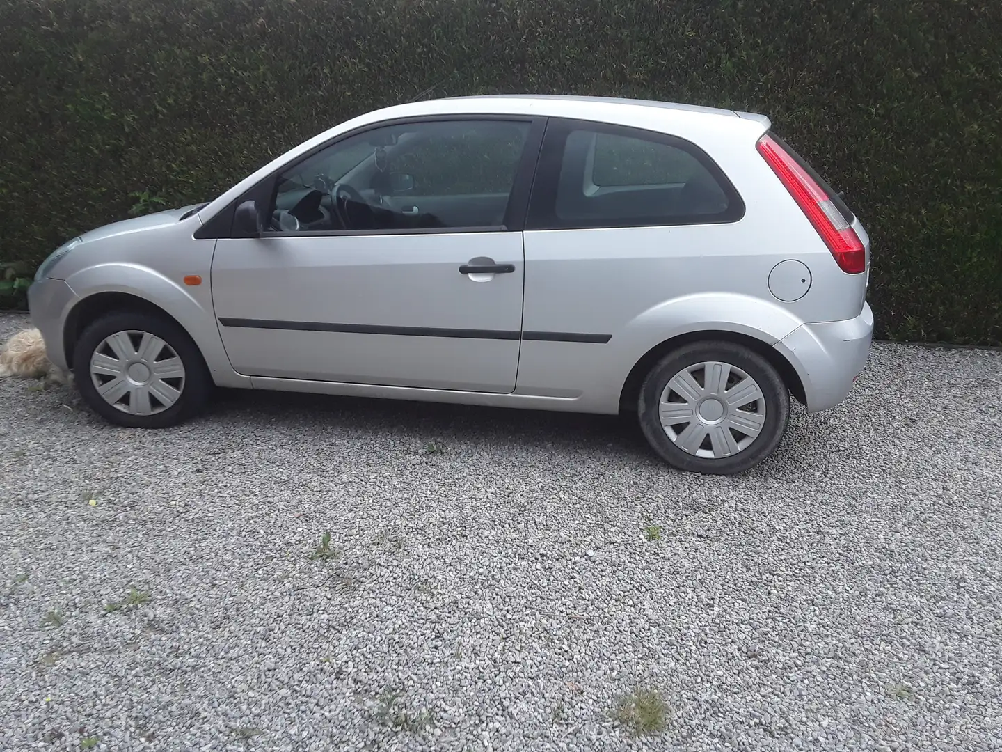 Ford Fiesta Fiesta 1.4 Turbo TDCi Ambiente Silber - 2