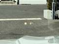 BMW X5 xDrive40d 48V Aut. M-Sport AHK Luft Standhzg He... Blanc - thumbnail 21