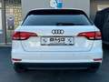 Audi A4 Avant 40TFSI basis ultra Aut. Navi LED 19" Blanc - thumbnail 5