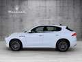 Maserati Grecale GT Weiß - thumbnail 4