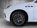 Maserati Grecale GT Weiß - thumbnail 11