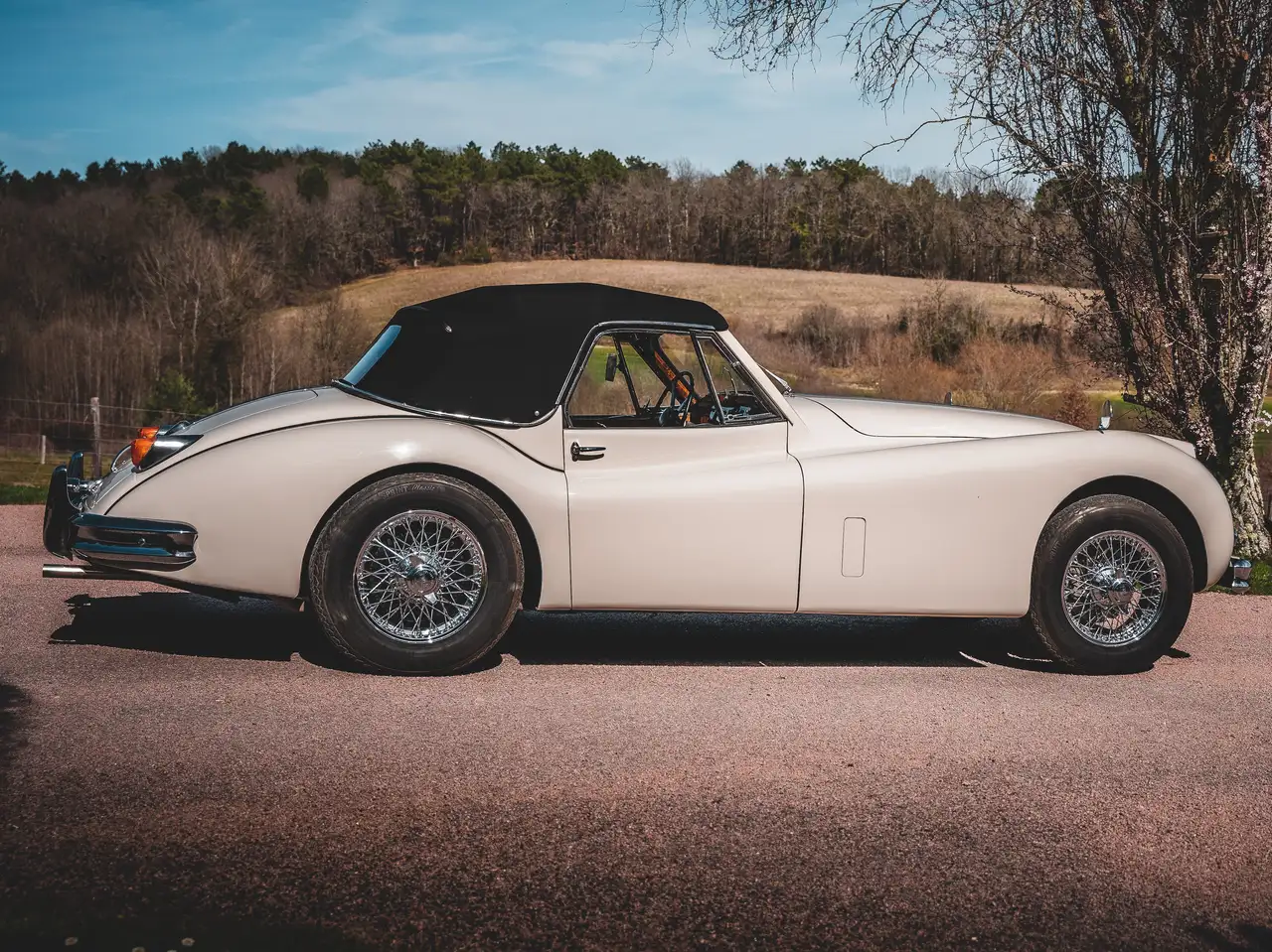 Jaguar XK 140, foto 5