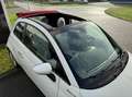 Fiat 500 1.0 Hybrid Sport CABRIO MY DOLCEVITA CARPLAY,LEDER Wit - thumbnail 8