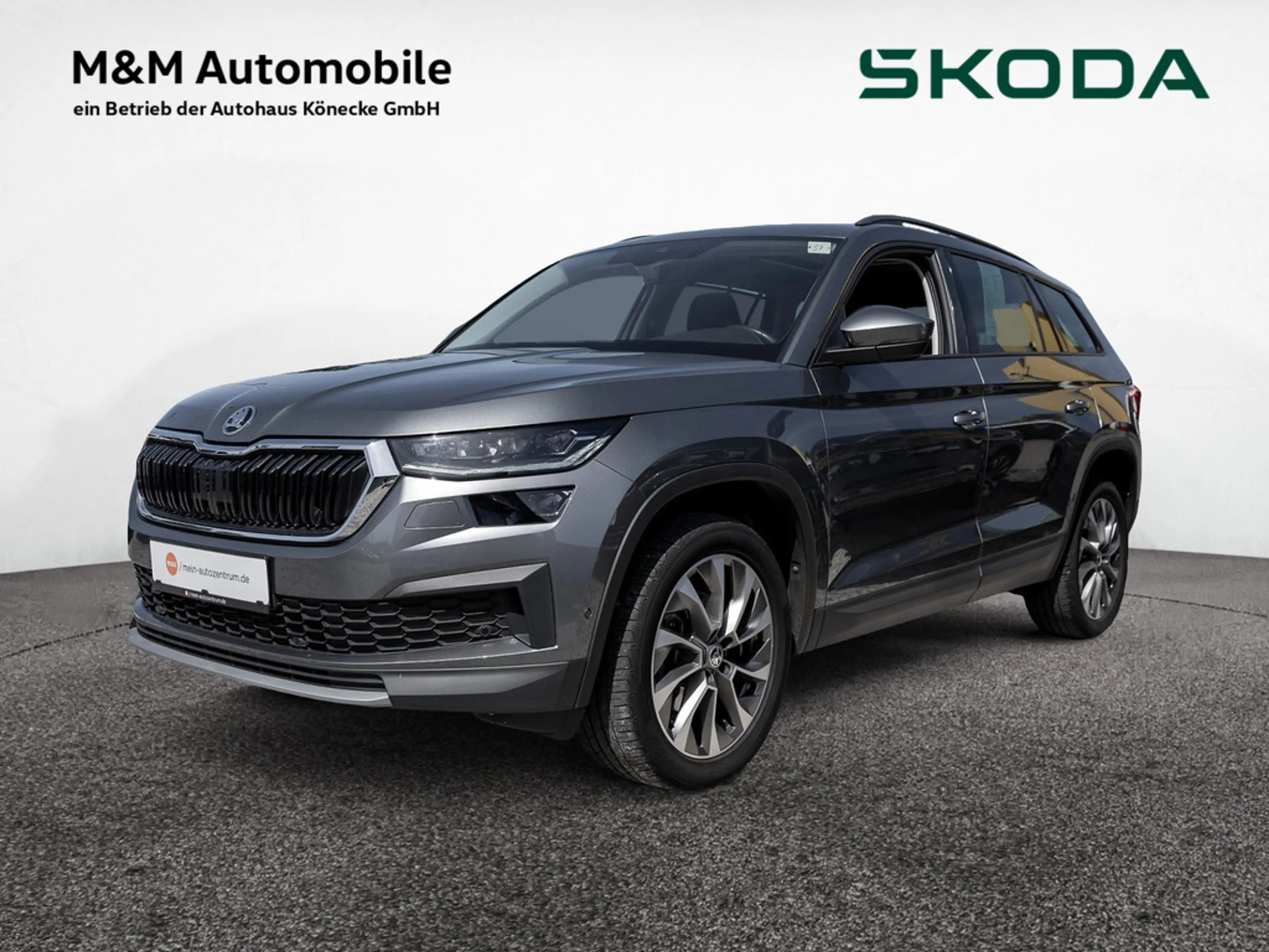 Skoda Kodiaq 2.0 TDI Tour AHK PANO KAM LED ACC SHZ