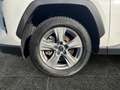 Toyota RAV 4 RAV4 - 2.5 l Hybrid Business Edition ACC*SHZ Weiß - thumbnail 15