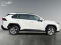 Toyota RAV 4 RAV4 - 2.5 l Hybrid Business Edition ACC*SHZ Weiß - thumbnail 7