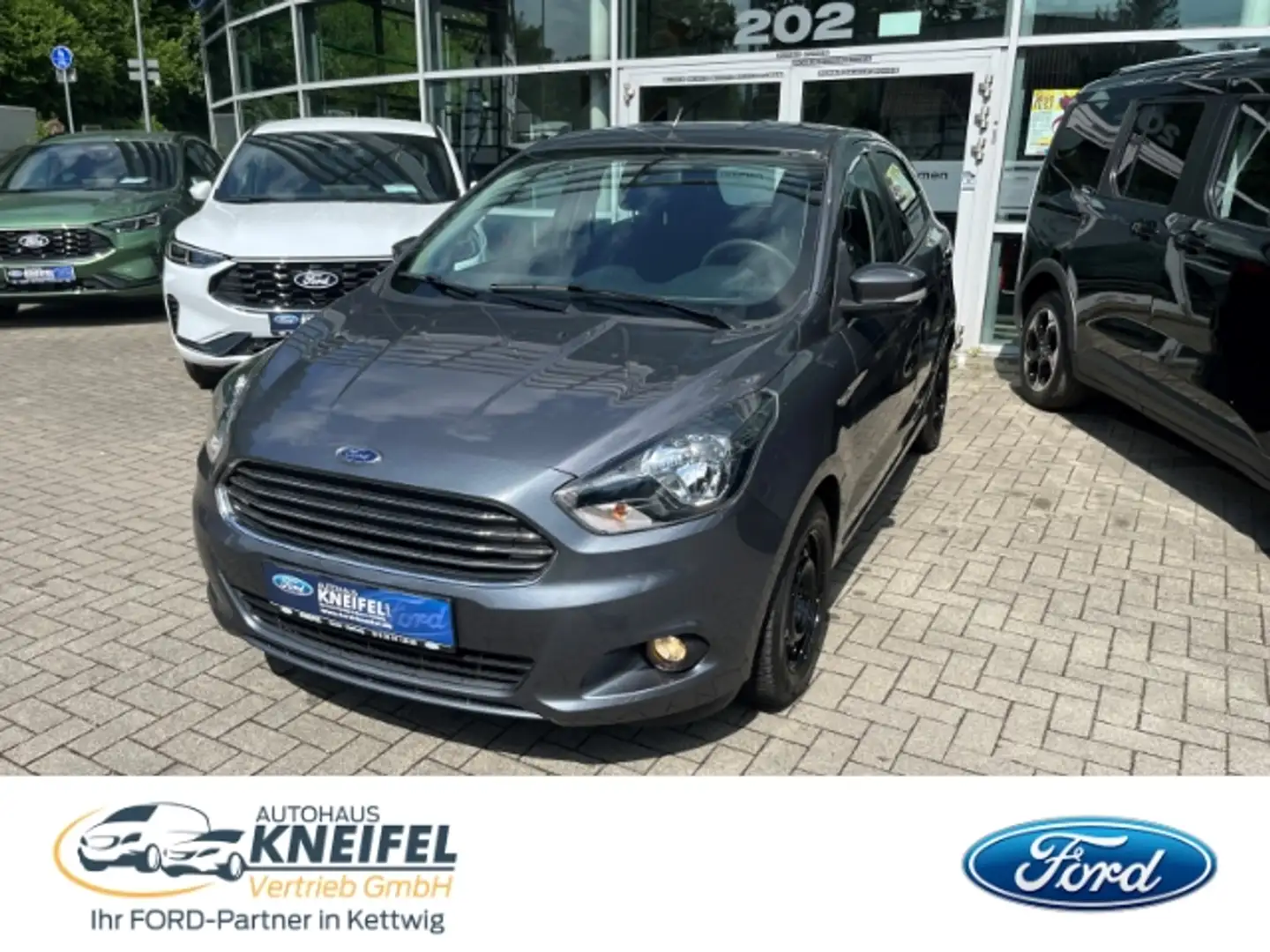Ford Ka/Ka+ + Cool & Sound Klima BT Sprachsteuerung Notbremsas Gris - 1