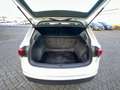 Volkswagen Tiguan 1.4 TSI ACT Navi Led Panorama Camera Massage Cruis Blanc - thumbnail 13