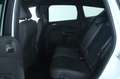 Ford Kuga 1.5 EcoBoost 150 CV S&S 2WD ST-Line/WINTER PACK Bianco - thumbnail 10
