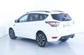 Ford Kuga 1.5 EcoBoost 150 CV S&S 2WD ST-Line/WINTER PACK Bianco - thumbnail 8