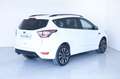 Ford Kuga 1.5 EcoBoost 150 CV S&S 2WD ST-Line/WINTER PACK Bianco - thumbnail 6