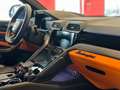 Lamborghini Urus Urus 4.0 V8 S auto Perfomance 60 anniversary Blu/Azzurro - thumbnail 8