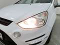 Ford S-Max 2.0 TDCi Business Edition WinterPak+AHK Weiß - thumbnail 25