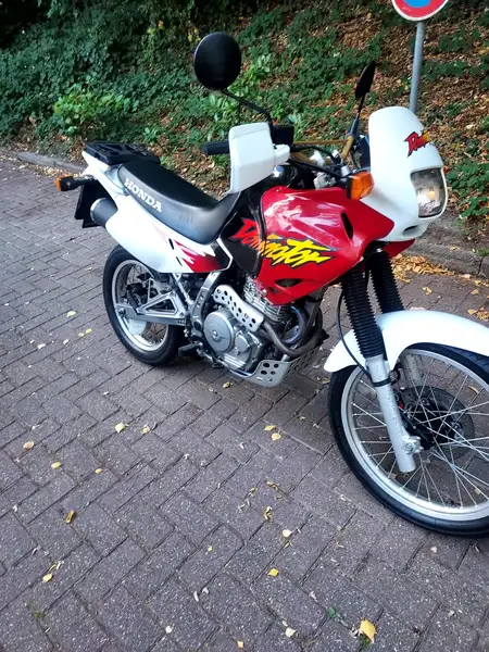 Honda NX 650 - foto 8