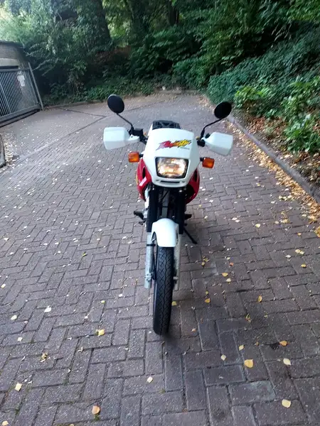 Honda NX 650 - foto 7