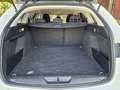 Peugeot 308 1.5BlueHDi S&S Active Pack 130 Bianco - thumbnail 8