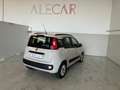 Fiat Panda Panda III 2012 1.2 Lounge 69cv E6 Beige - thumbnail 3